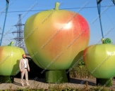 Надувные фигуры "Яблоки в кадках" высотой 5,2м и 2,6м, для украшения Ледового дворца