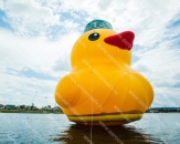Надувная водоплавающая конструкция "Желтая утка" с габаритным размером 10,0м. Оснащена внутренней подсветкой (теги: утка, желтая утка, надувная утка, огромная утка, утка на воде)